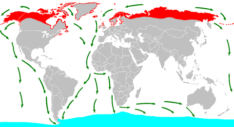 migrate map