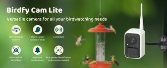 birdfy-cam-new-banner.jpg__PID:ccb20412-247b-4dc0-afbc-f0dce58a7621