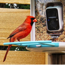 birdfy-feeder-review.png__PID:7c1abd18-6652-43e2-8fba-938a3623366c