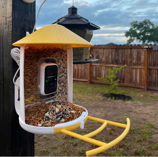 birdfy-feeder-yellow-review.png__PID:e28c7c1a-bd18-4652-a3e2-cfba938a3623