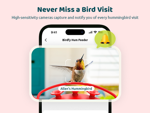 Birdfy Hummingbird Feeder Camera – netvue