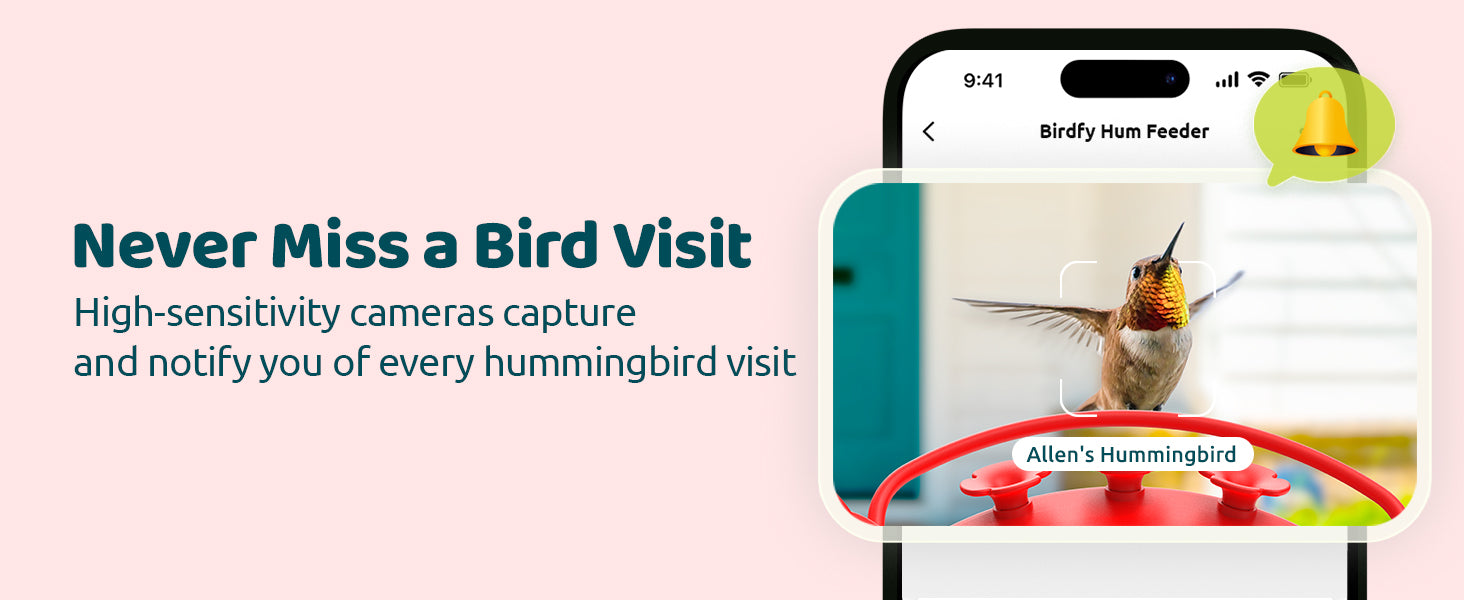 birdfy-hummingbird-feeder-pc4.jpg__PID:7dfedaee-328b-49f1-818e-4e24e813f713