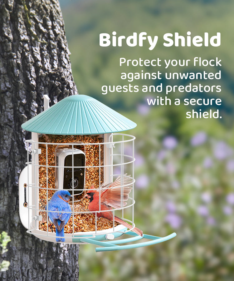 birdfy-shield-new-m.jpg__PID:533d83a7-31f3-4a7e-94d8-7b7ae3ec4038