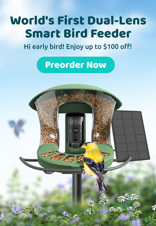 birdfyfeeder2probannerm.jpg__PID:7cd0c90f-e1c8-452c-910c-a38a869225ac