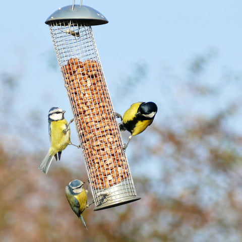 bird feeder for humming bird
