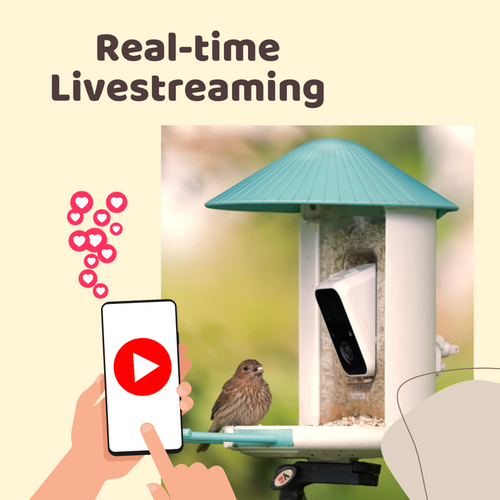 real-time-bird-behavior.png__PID:aa32bbf9-0545-48be-b223-eccc7e5b83ea