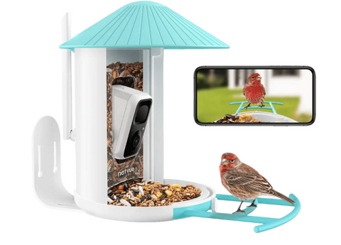 bird feeder that enhances your birdwatching experience