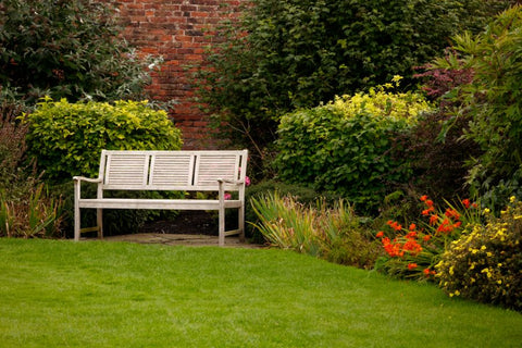 white bench in a green backyard