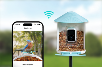 The Netvue Birdfy is our favorite bird feeder camera, and it's now over 30%  off