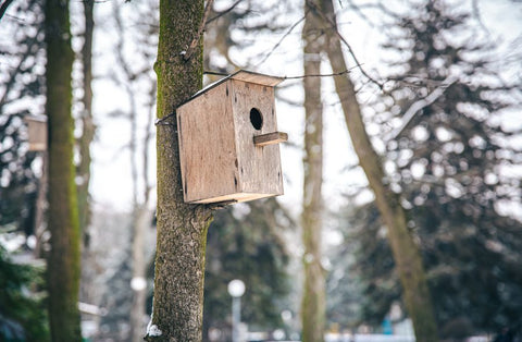 wooden birdhouse in the wild