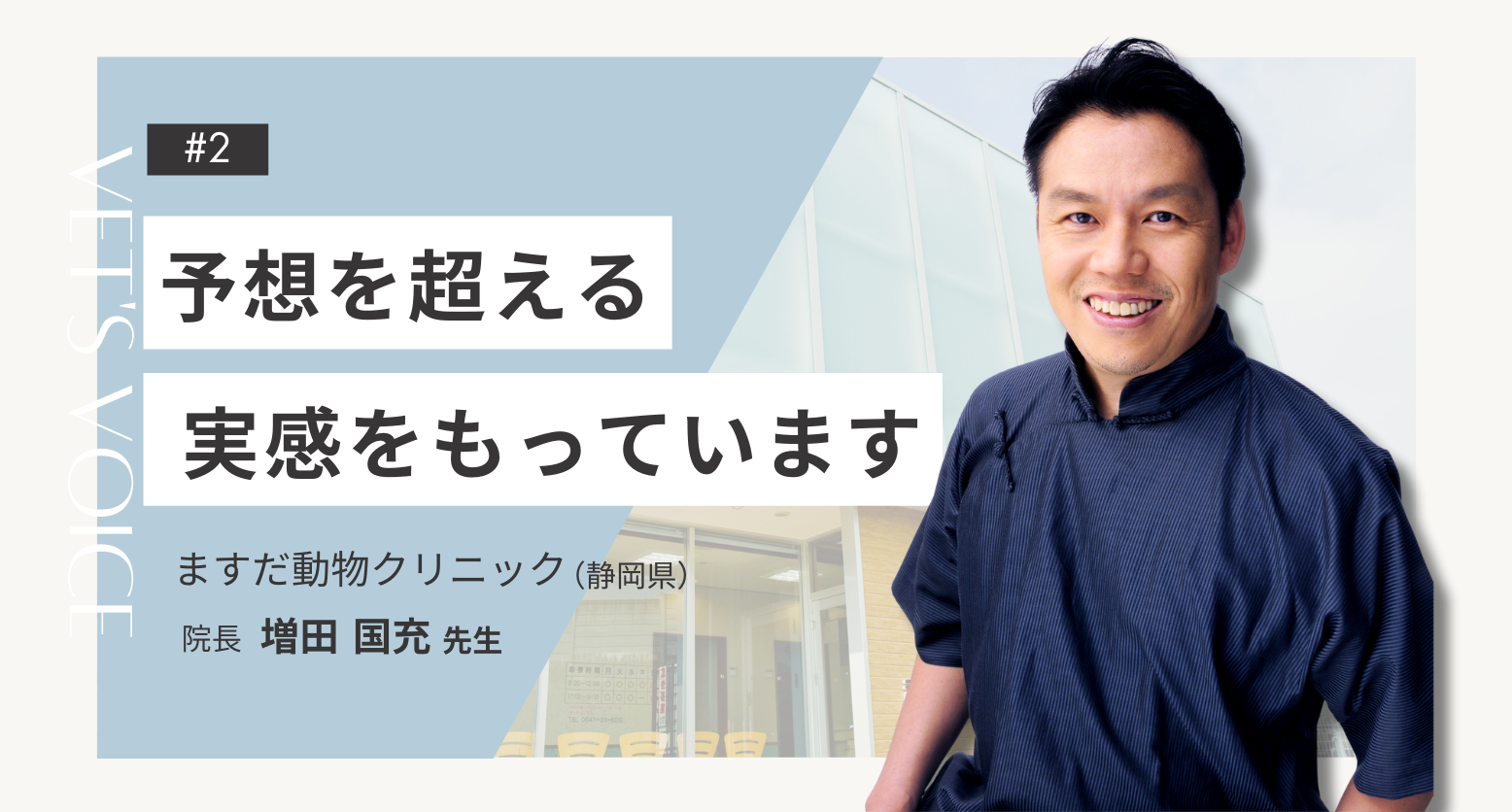 獣医師が薦める認知症の老犬のためのサプリメント