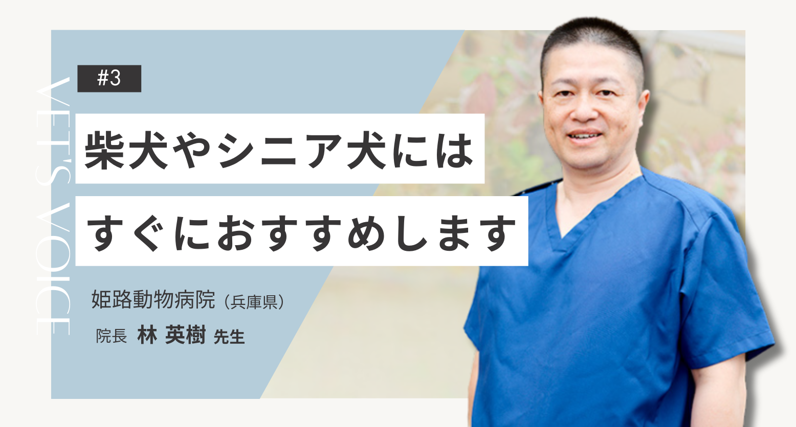 獣医師が薦める認知症の老犬のためのサプリメント