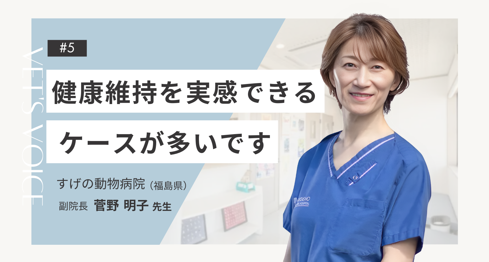 獣医師が薦める認知症の老犬のためのサプリメント