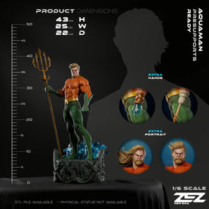 Aquaman - DC Comics - 1:6 Scale - Balance Gaming FL