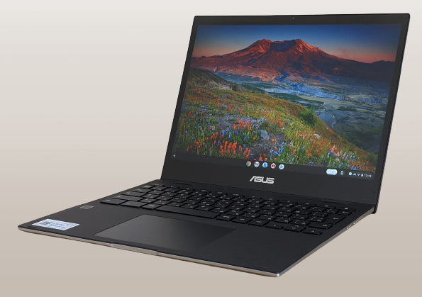 Asus Chromebook Flip CM3