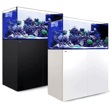 RED SEA ReefWave 25- Pompe de brassage Wifi 7500 L/H