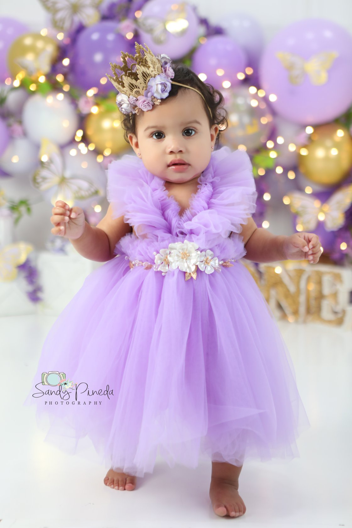 Princess swan baby circus dress onesie - lilac