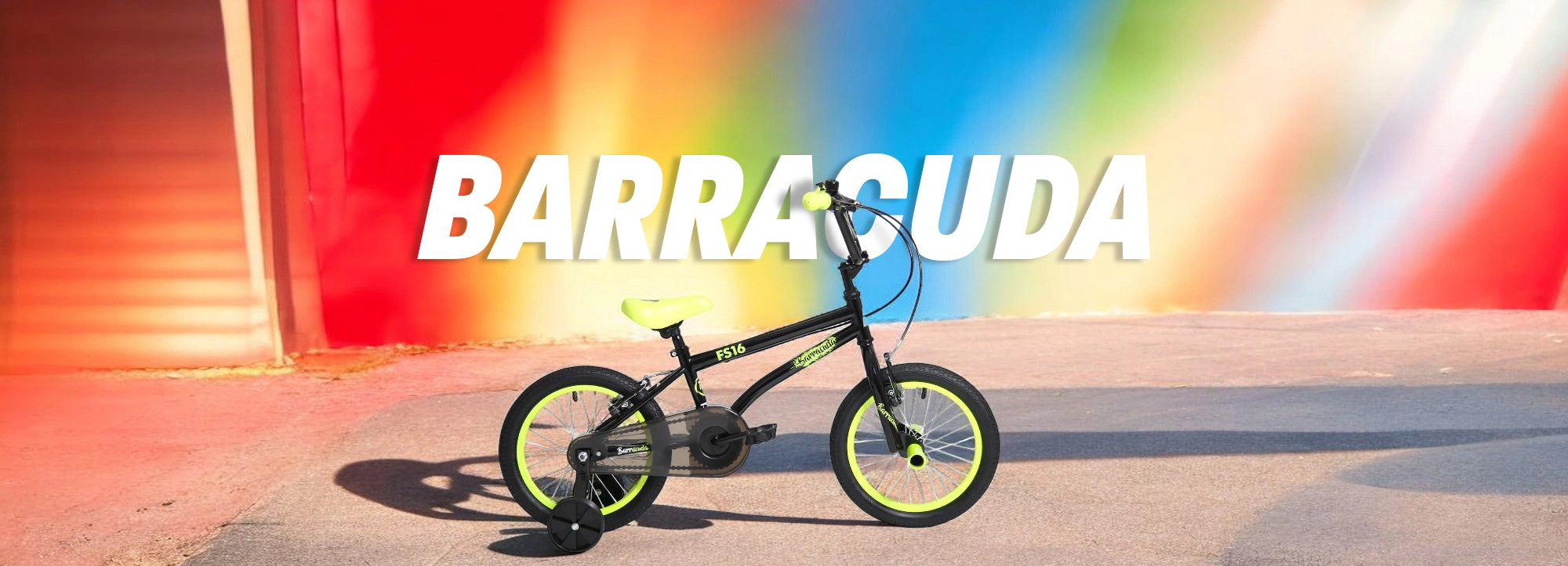 Barracuda Banner