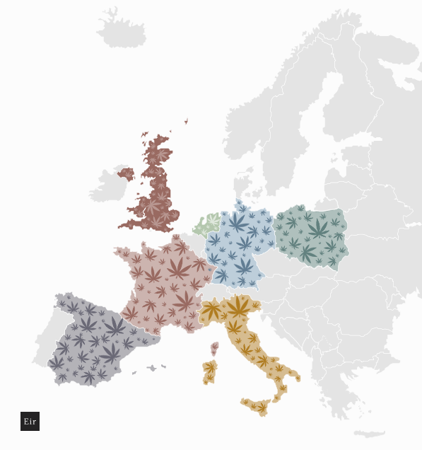 Największe uprawy konopi na CBD w Europie