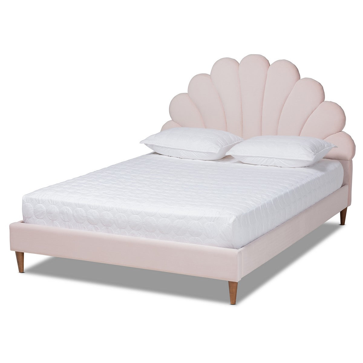 Baxton Studio Odille Modern Glam Light Pink Velvet Upholstered Walnut Brown Finished Wood Queen Size Seashell Shaped Platform Bed Baxton Studio-beds-Minimal And Modern - 1