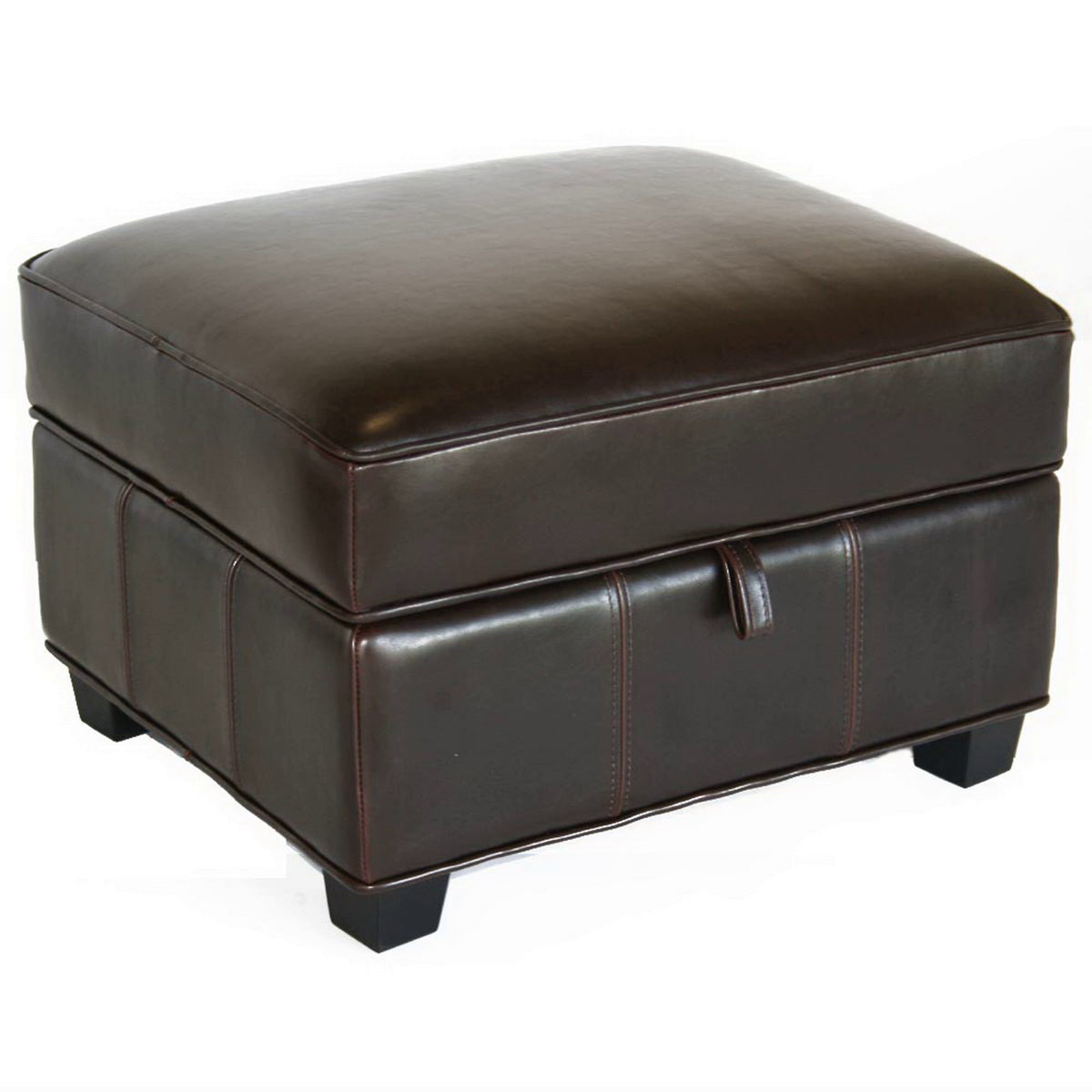 Baxton Studio Agustus Brown Leather Storage Ottoman  Baxton Studio-ottomans-Minimal And Modern - 1