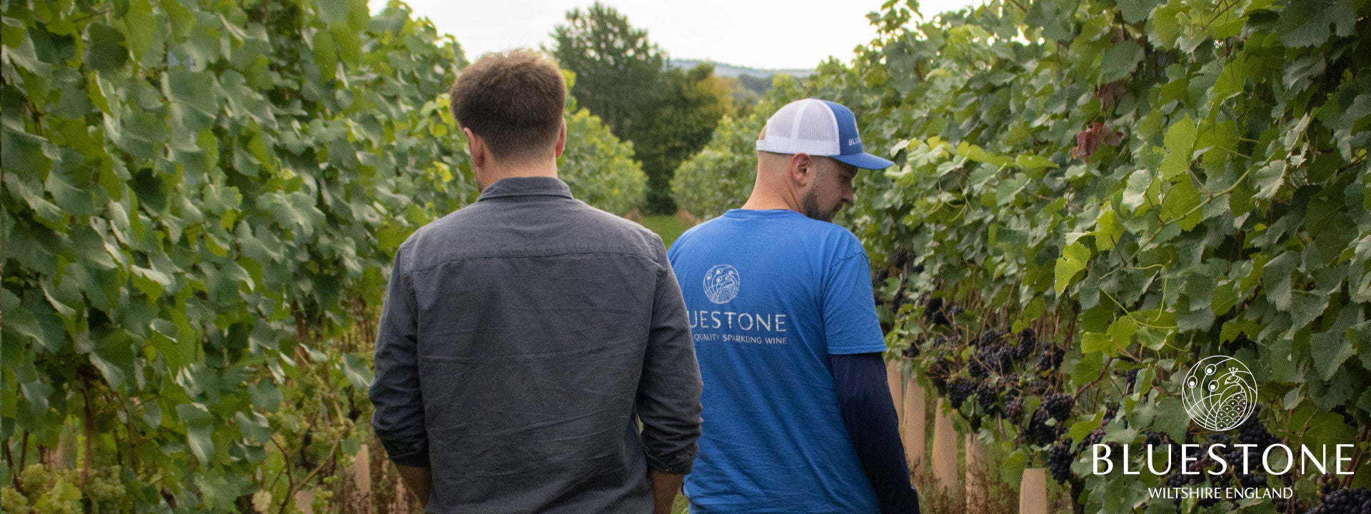 Nat and Toby vineyard managers wandering the vines