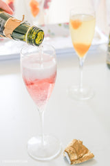 Premier Estates Wine Mini Prosecco Bottles, image credit: Cassiefairy
