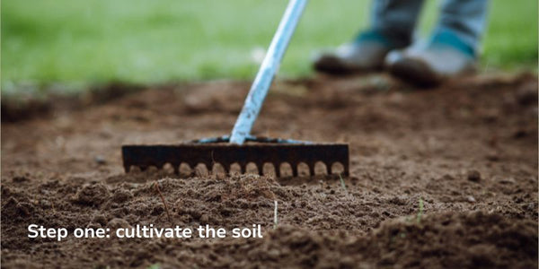Step one: cultivate the soil