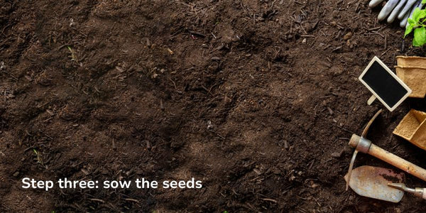 Step three: sow the seeds