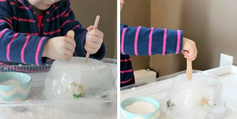 Proyecto de ciencia infantil