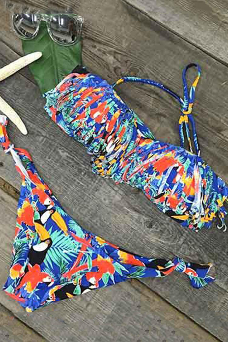 Wild Dreamer Tassel Halter Bikini Set