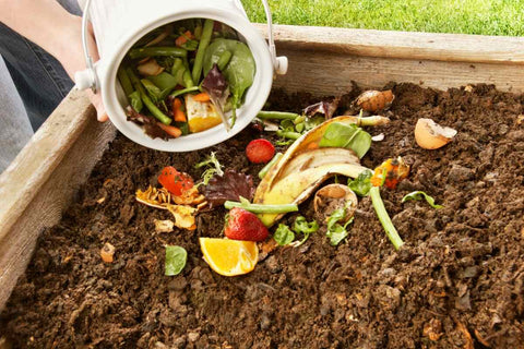 compost for gardening