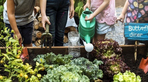 national children's gardening week