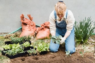 happy gardener