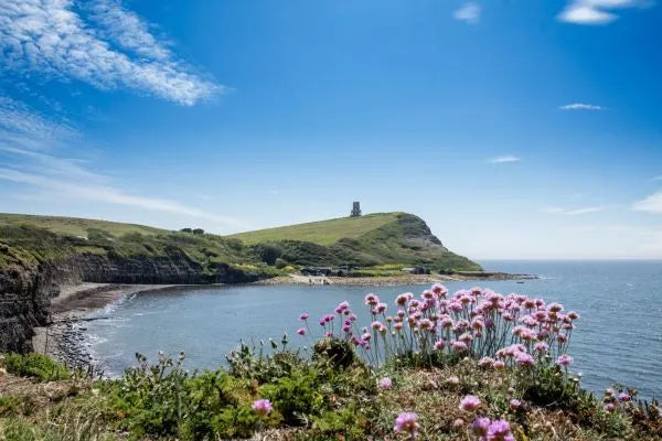 Paddle Boarding Kimmeridge Bay Dorset