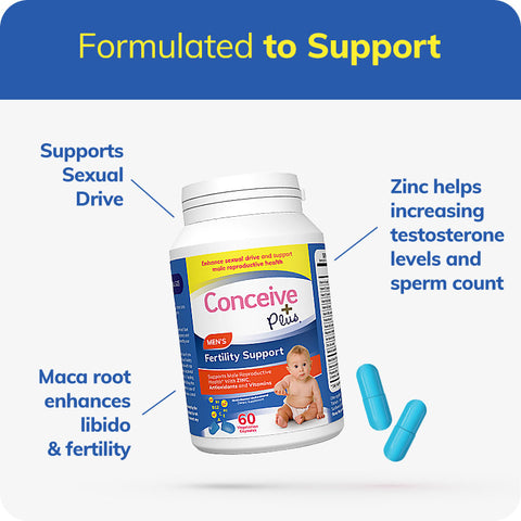 The Best Vitamins For Male Fertility Supplements for men by Conceive Plus