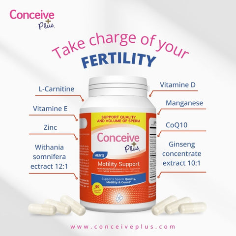Une bouteille de Conceive Plus Men's Motility Support au milieu et ses ingrédients écrits quatre de chaque côté sous forme de puce et une phrase de chute est écrite sur le dessus de la bouteille comme Prenez en charge votre fertilité