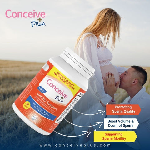 Botella de Conceive Plus Motility Support con sus beneficios escritos en bloques separados y una pareja embarazada en la que el hombre besa el vientre de la mujer.
