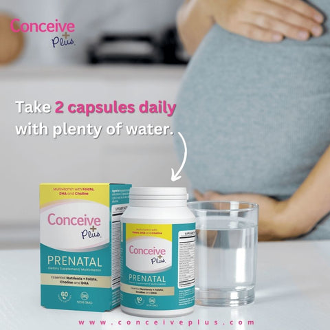 Conceive Plus Prenatal Support bottle and a box and a glass of water in the front and a pregnant lady with only belly visible holding her belly with both hands in the background and an instruction written as Take 2 Capsules