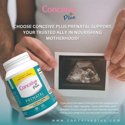 Conceive Plus Prenatal en la esquina inferior derecha y una mujer embarazada sosteniendo una ecografía de embarazo. Solo se ve la parte del vientre en el marco