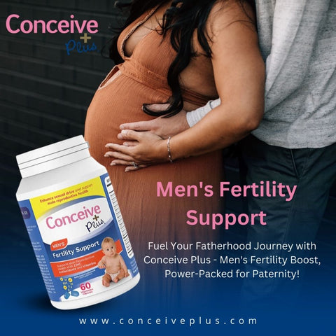 Photo d'un couple, seuls les corps sont visibles et la femme est enceinte et l'homme place les mains sous les mains de la femme sur son ventre et une image de Conceive Plus Men's Fertility Support