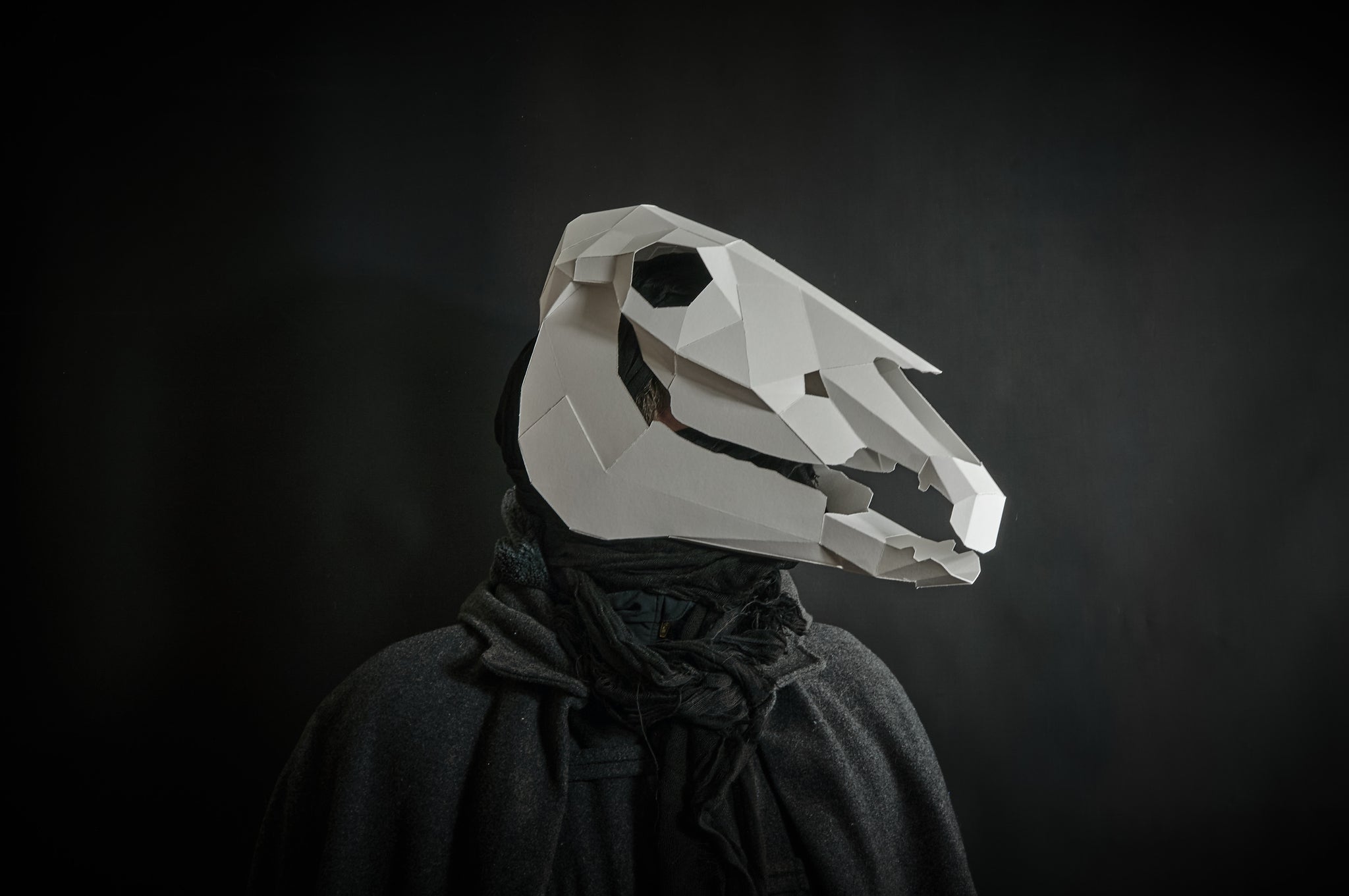 Papercraft Horse Skull