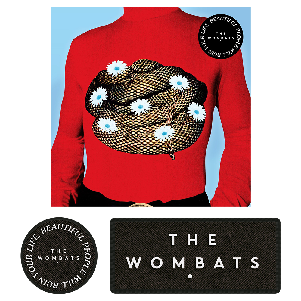 the wombats 限定10th this modern glitch LP