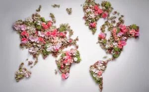 A world map made out of pink and white flowers.