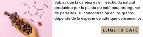 la cafeína es el protector natural de las plantas de café contra los parásitos