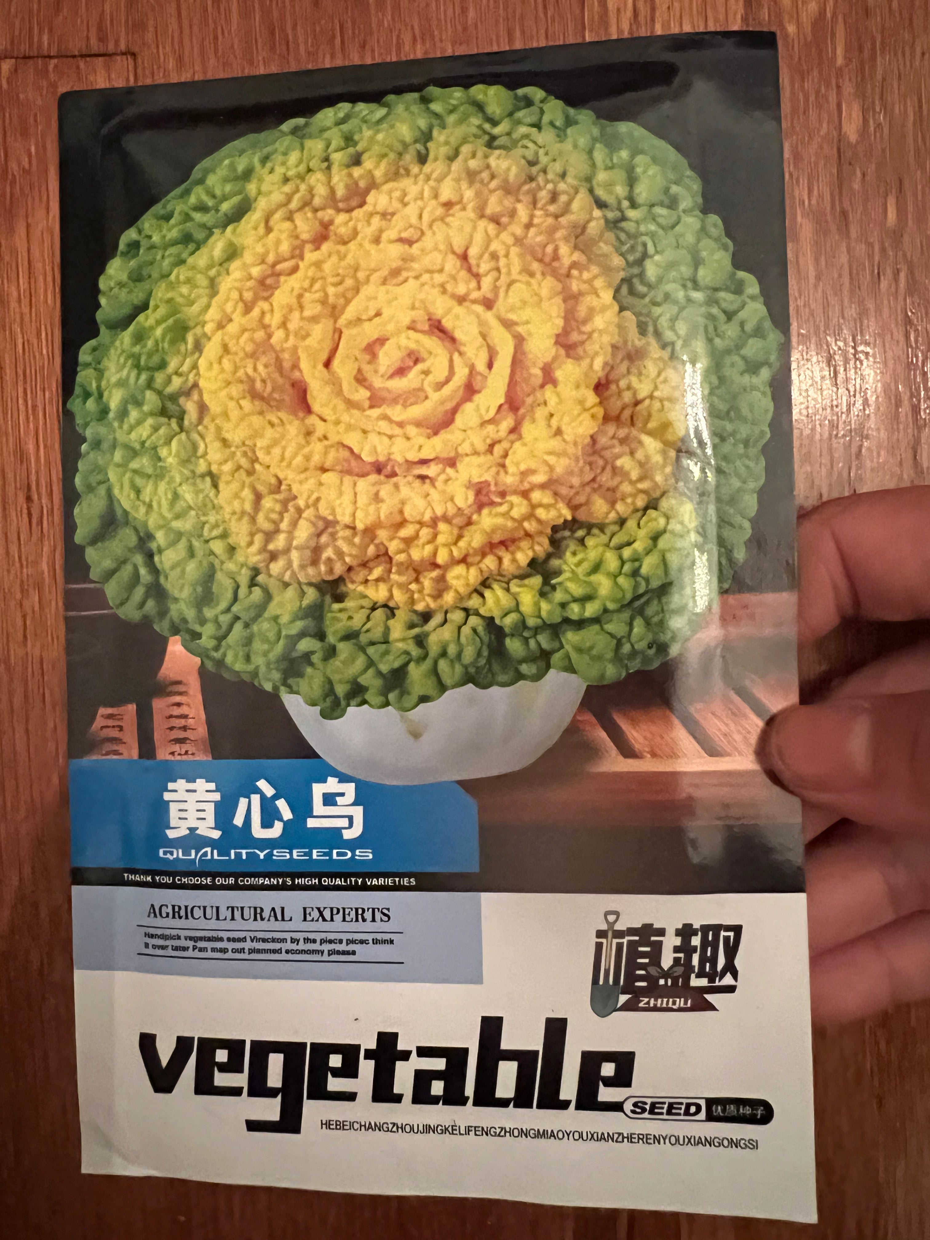乌塌菜,春秋冬播种,40天可以收成