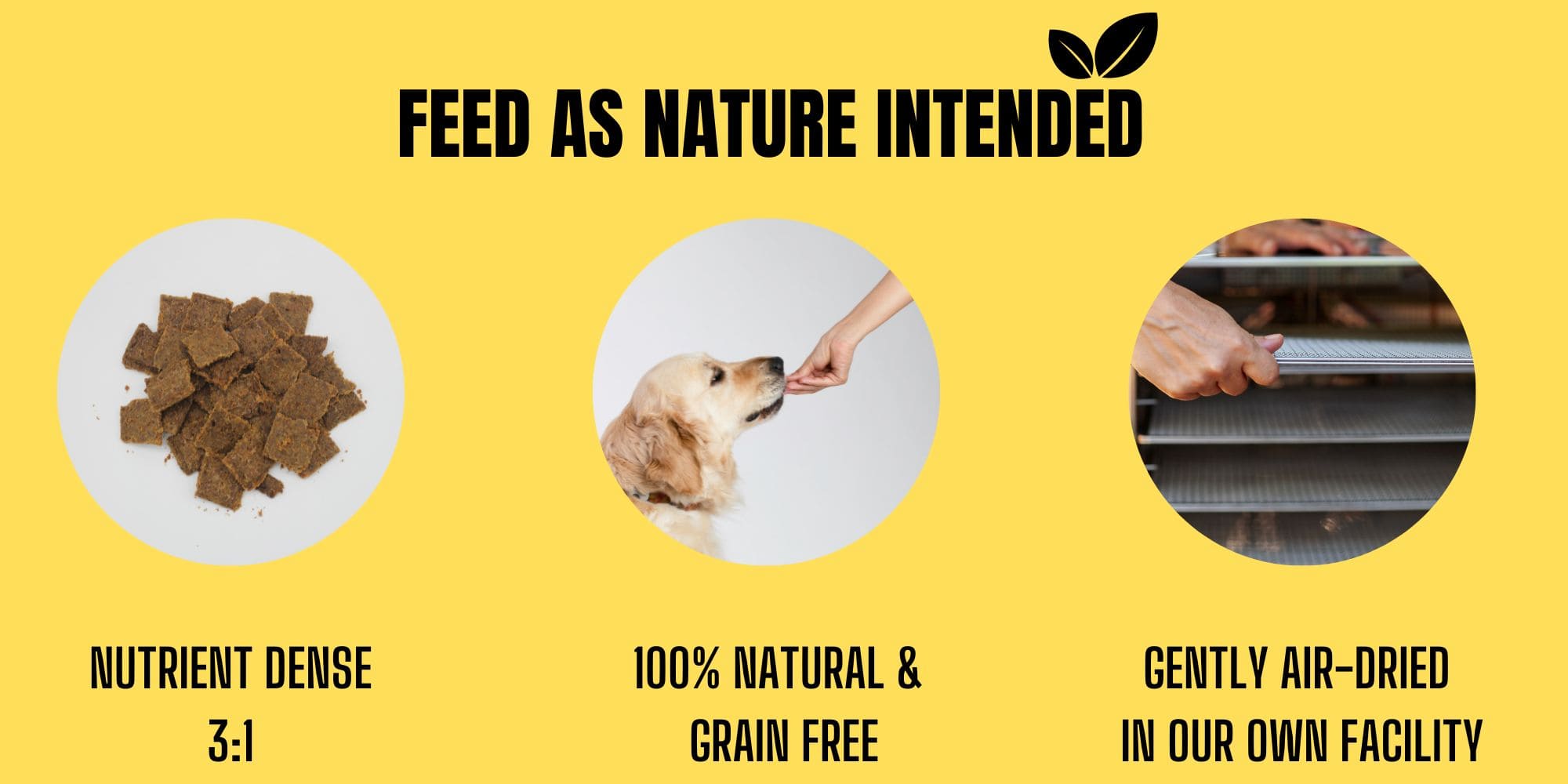 Chicken Air Dried Dog food