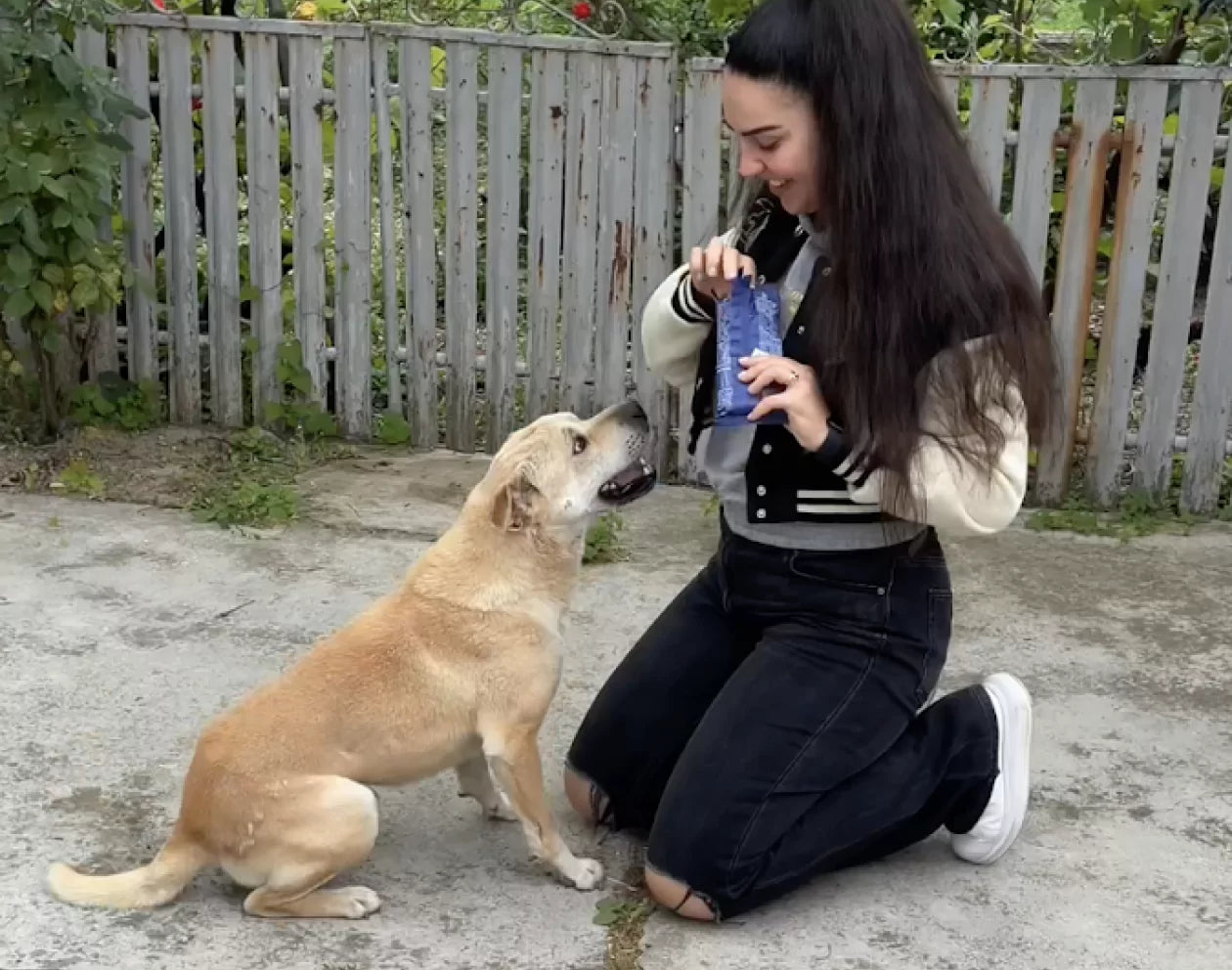 Woman kneeling beside a dog, both appearing to play with a blue toy.