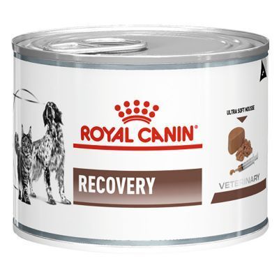 Royal Canin Recovery Gato/Cão 195g  - Comida Húmida em Lata