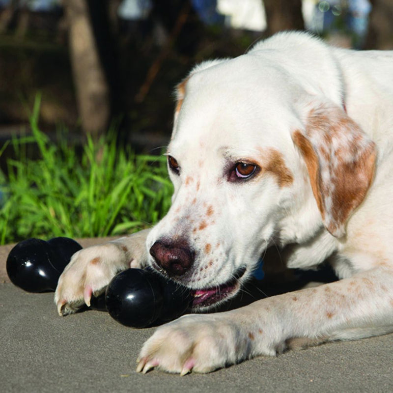 KONG Extreme Goodie Bone L - Brinquedo para Cão